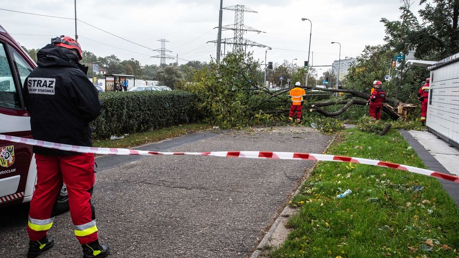 Pogoda. Synoptycy ostrzegają przed wichurami. Powalone drzewa tarasują ruch na drogach i torach, niszczą dachy, zrywają linie energetyczne. Są też pierwsze ofiary