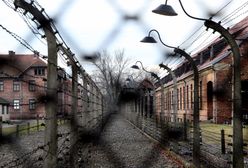 Znów to zrobili. Ambasada w Lizbonie interweniuje ws. artykułu o Auschwitz