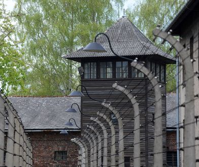 Zaliczył skandaliczną wpadkę wypowiedzią o żydowskich elitach. Teraz zbuduje park wodny