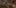 #dziejesienazywo: Total War: Warhammer - utytułowana seria gier doczekała się kolejnej części