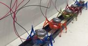 Miniaturowe roboty-mrówki są w stanie... ukraść dwutonowy samochód!