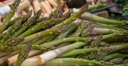 Wyrzucasz w błoto niemałe pieniądze. Końcówki szparagów są jadalne