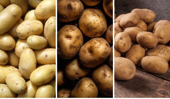 Ziemniaki wczesne, jadalne, młode - jaka jest między nimi różnica? - Pyszności; Fot. Adobe Stock