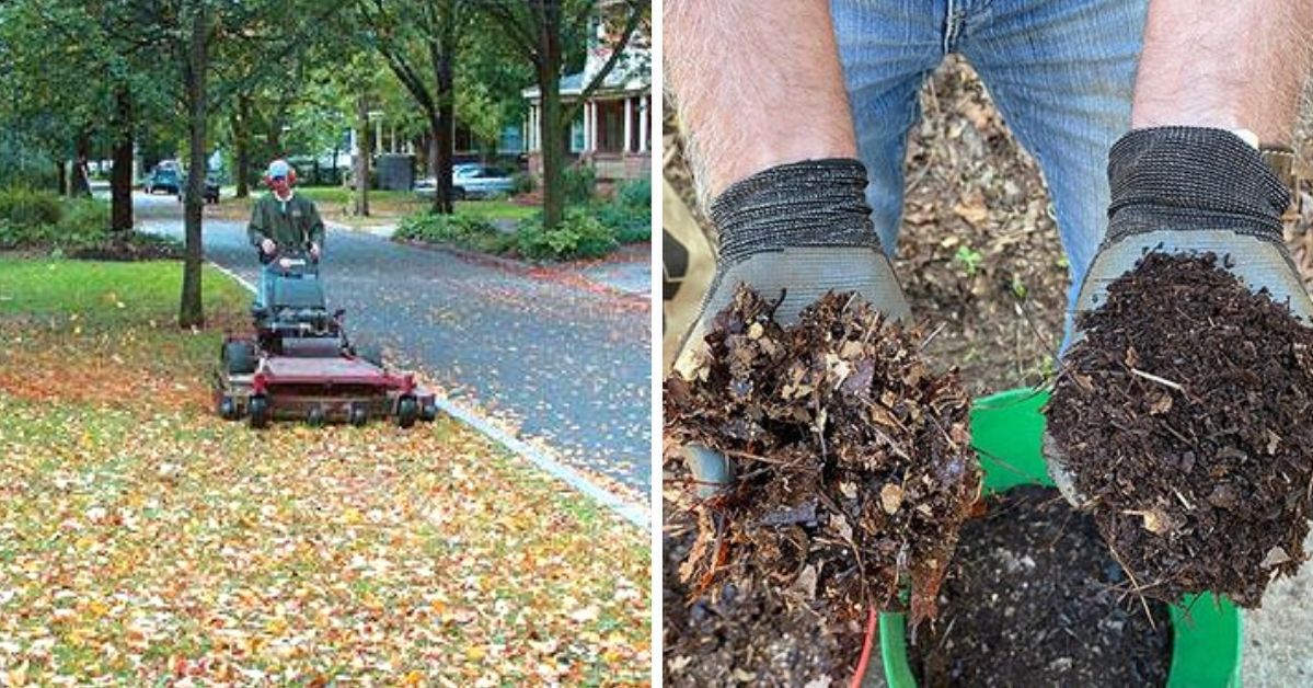 7 rzeczy, które możesz zrobić z jesiennymi liśćmi. Przydadzą się nie tylko w ogrodzie