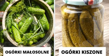Kiszone czy małosolne - które ogórki są zdrowsze? Nie każdy wie, czym się różnią