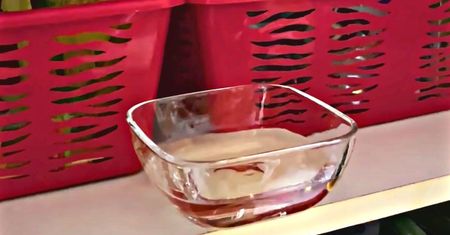 Wymieszaj tylko 2 produkty i postaw w kuchennej szafce, by pozbyć się moli