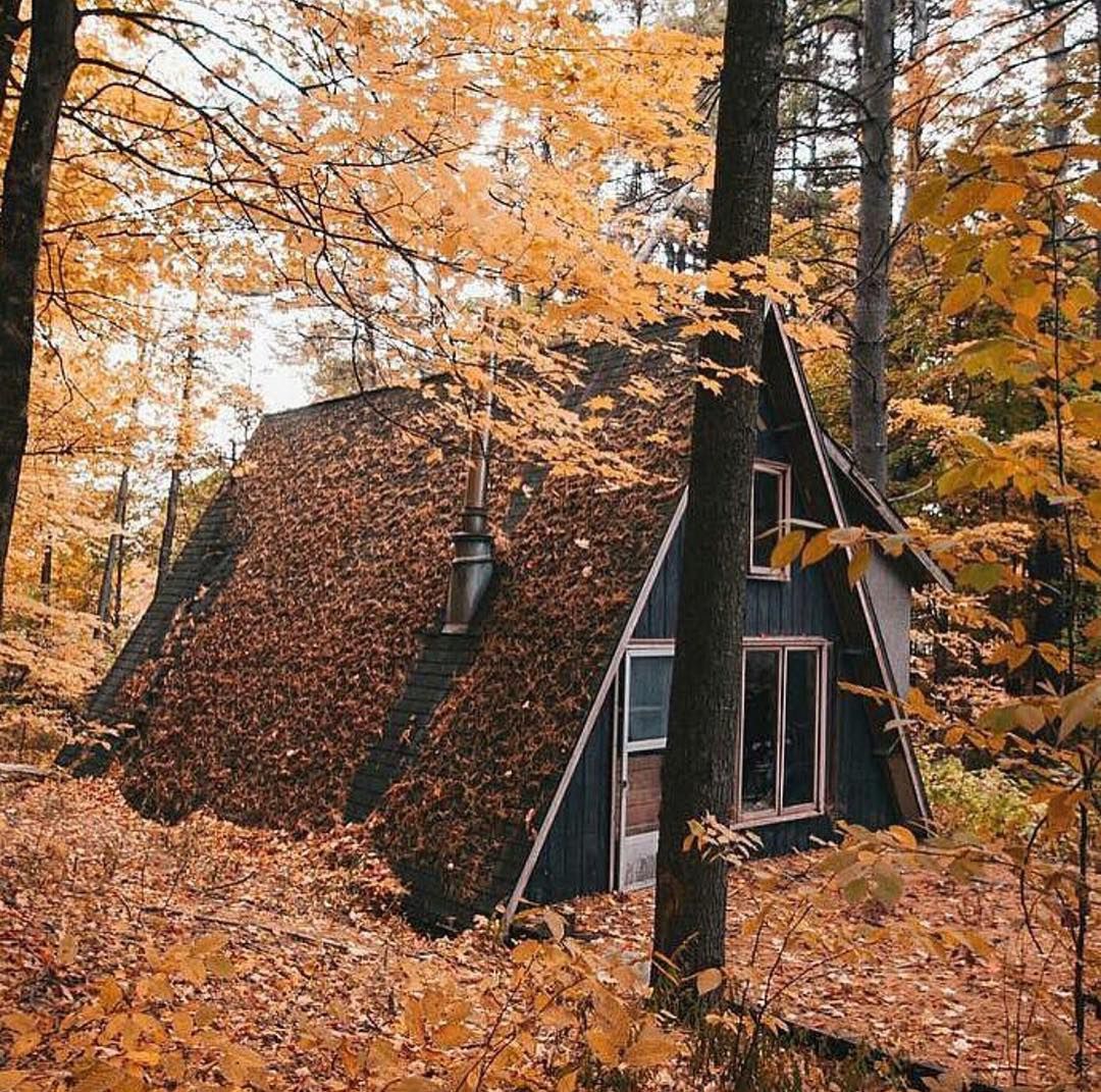 Instagram/Tiny House