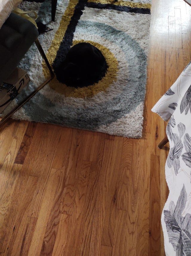 Catfuzz13/reddit