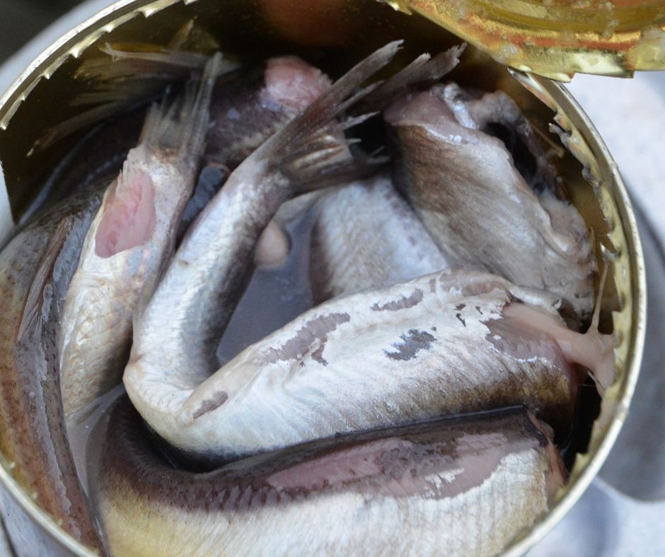Jak jeść surströmming- Pyszności