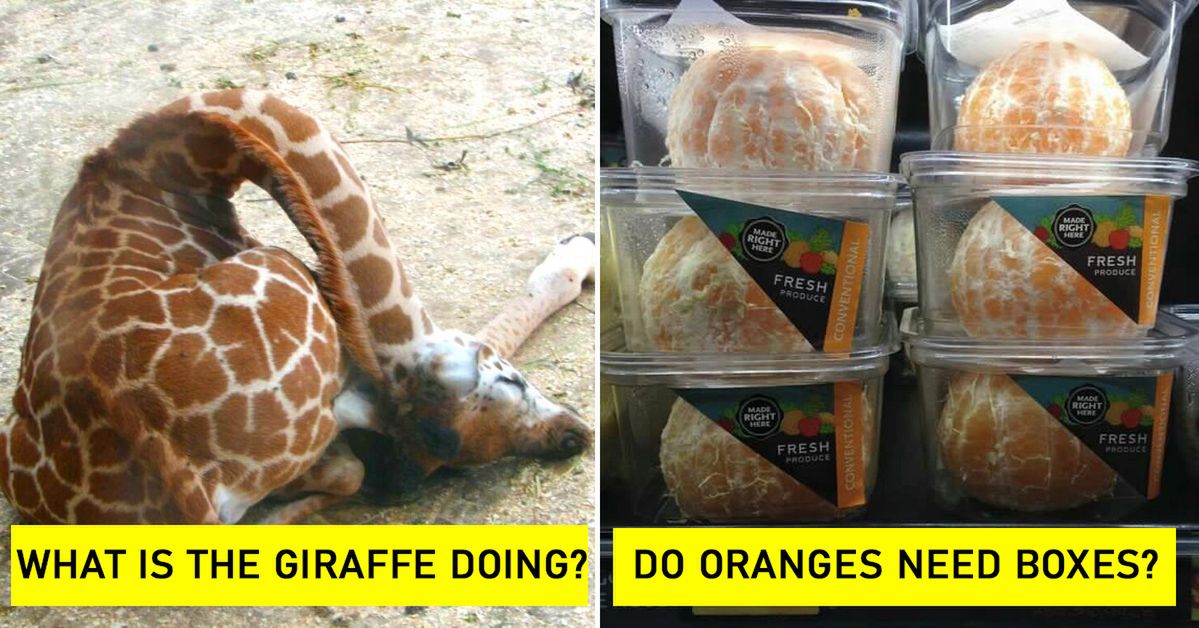 16 Unusual Observations People Couldn’t Help Sharing