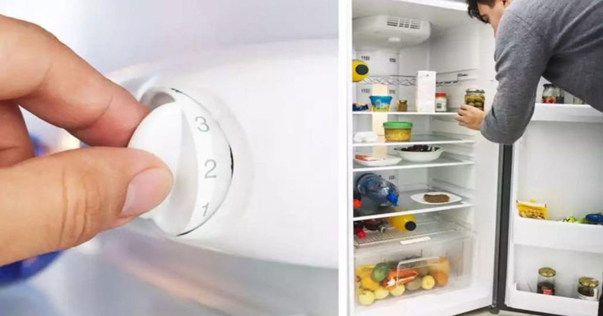 Temperature in the Refrigerator - What Should It Be and Is It Worth Changing in the Summer?