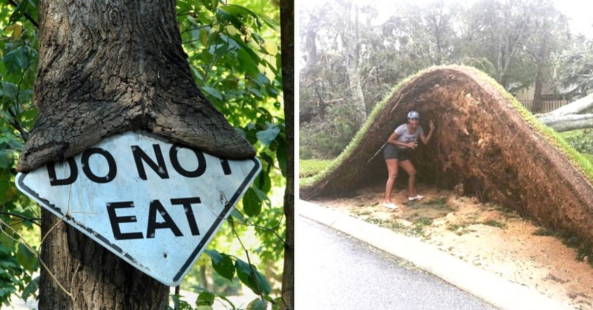 20 wyjątkowych zdjęć, które pokazują, że natura rządzi się swoimi prawami