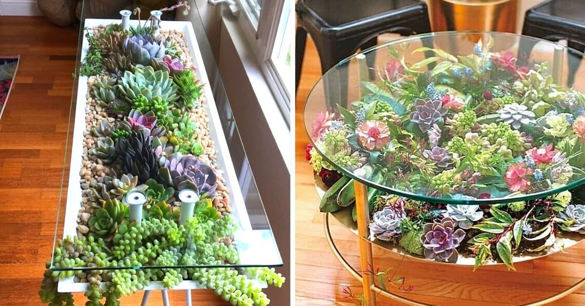 17 Fabulous Ideas How to Turn Your Table Into a Small Succulent Gardens