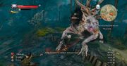 CD Projekt nie próżnuje - wiemy już, co przyniesie aktualizacja 1.08 do Wiedźmina 3