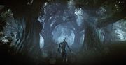 Wiedźmin Geralt na nowych obrazkach i artworkach