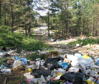 Sprzątasz świat czy raczej wywalasz śmieci do lasu? Rozwiąż quiz!