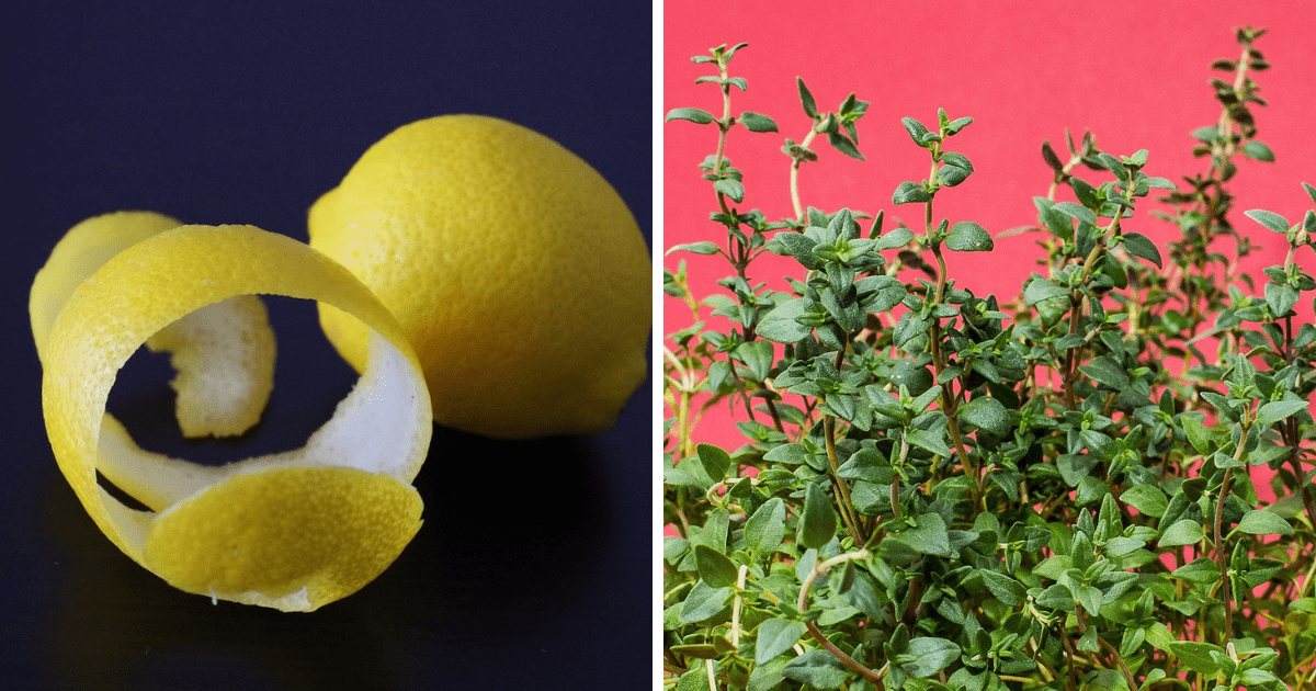 Domowe środki czystości - kuchnia będzie jak nowa