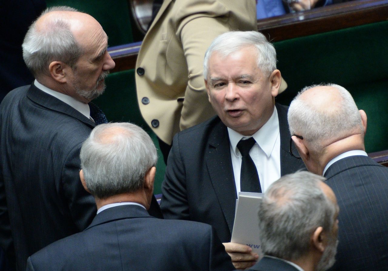 Zwierzęta zabijane na futra podzielą PiS? W grę wchodzą duże pieniądze