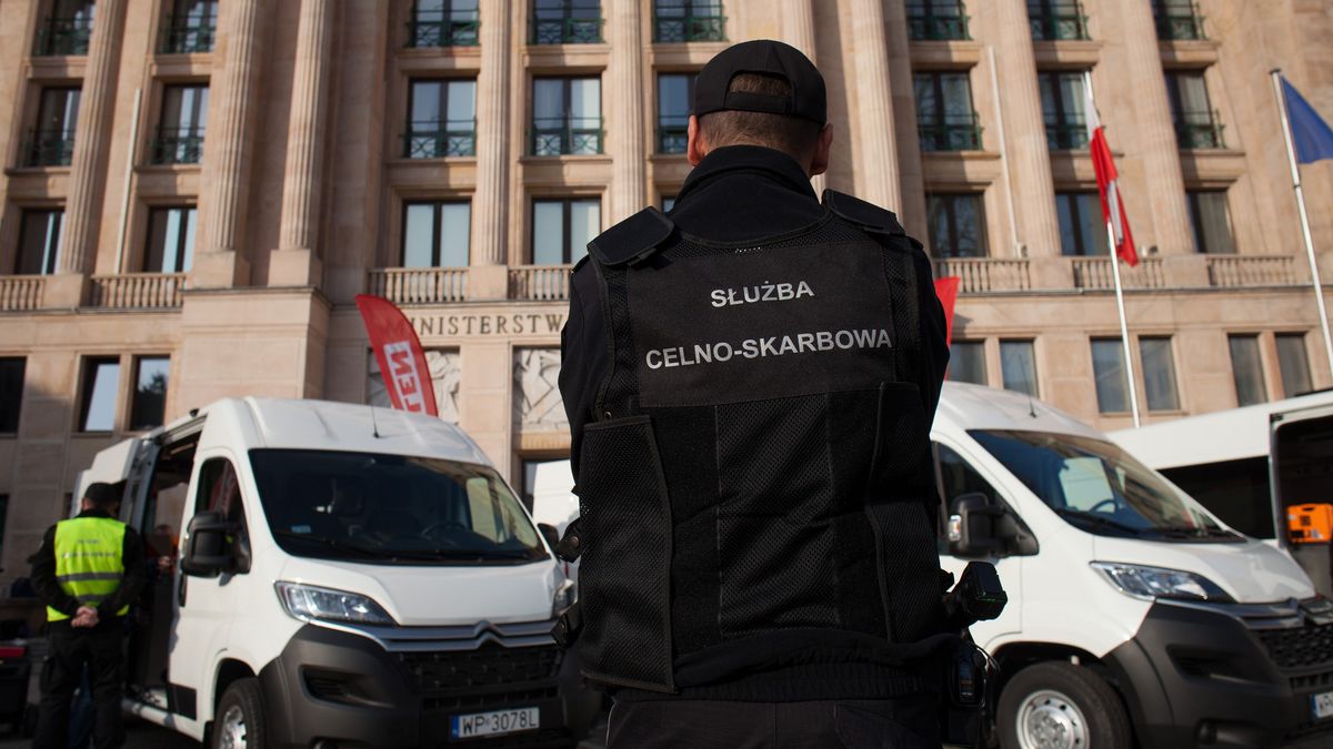 W ubiegłym roku skarbówka wykryła uszczuplenia podatkowe na kwotę 9,8 mld zł. 