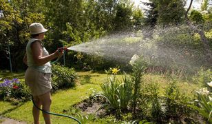 Wrocław: miasto likwiduje ogródki działkowe – w ich miejscu powstaną inwestycje