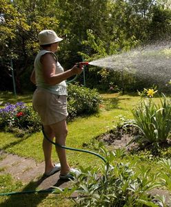 Wrocław: miasto likwiduje ogródki działkowe – w ich miejscu powstaną inwestycje
