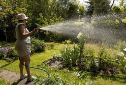 Wrocław: miasto likwiduje ogródki działkowe – w ich miejscu powstaną inwestycje