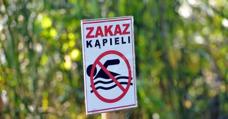 Z powodu sinic zamknięte kąpielisko w Trzebieży