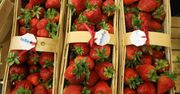 Ulubionymi owocami Polaków są truskawki, a warzywami – pomidory