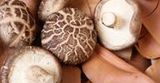 Grzyby shiitake wzmacniają odporność