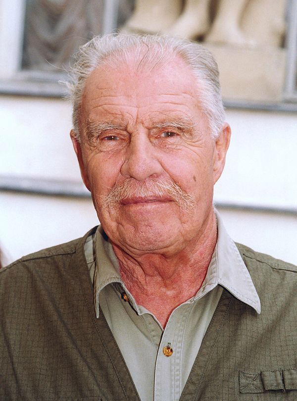 Obraz