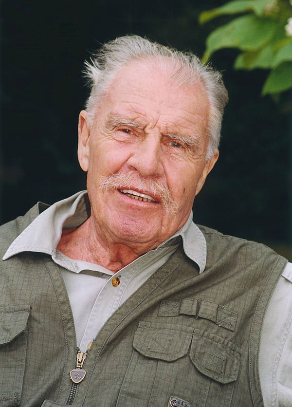 Obraz