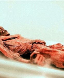 Człowiek sprzed 5 tys. lat odzyskał twarz