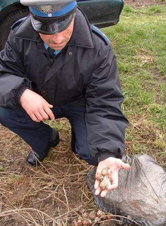 Policjanci uwolnili 45 kilogramów winniczków