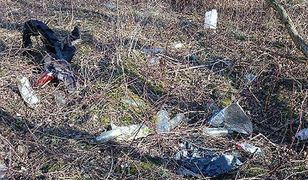 Wiosna odsłania śmieci w Tychach