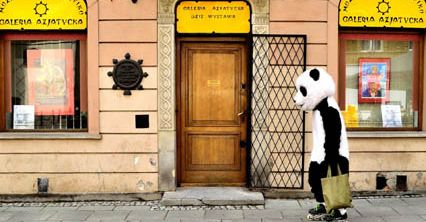 Warsaw Street Shots