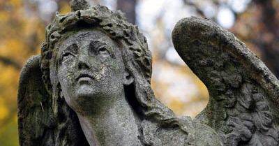 "A. Przewoźnik niszczy polski cmentarz na Monte Cassino"