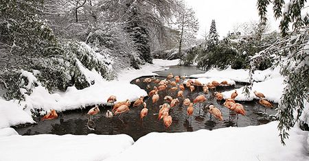 Szwajcaria pod śniegiem