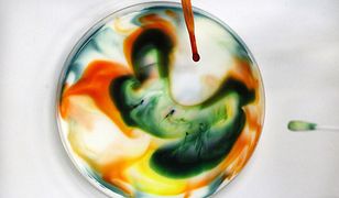 Trwają ostatnie próby polskiego leku na Sanfilippo