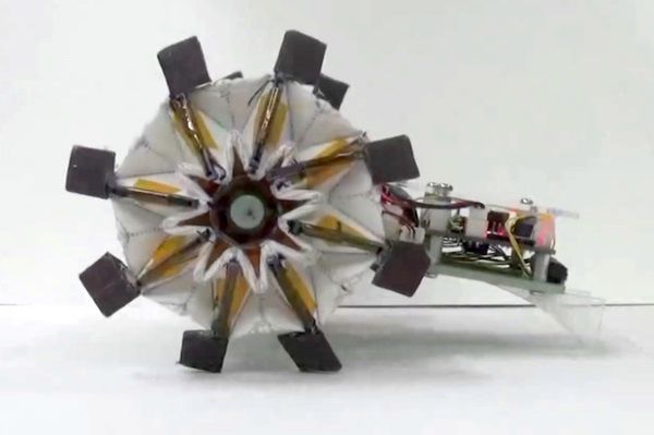Robot z origami - bo można na nowo wynaleźć koło