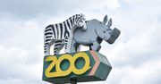 Zoo Poznań w czasie ferii – atrakcje online i stacjonarnie