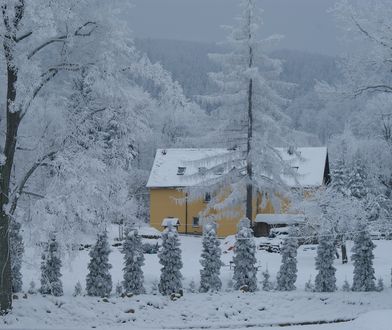 "Przed nami zima stulecia!" – grzmią nagłówki. Instytut Meteorologii odpowiada