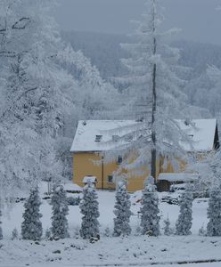 "Przed nami zima stulecia!" – grzmią nagłówki. Instytut Meteorologii odpowiada