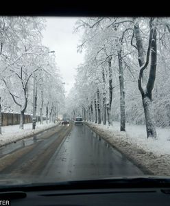 IMGW wydaje ostrzeżenia pogodowe. Obejmują 11 województw