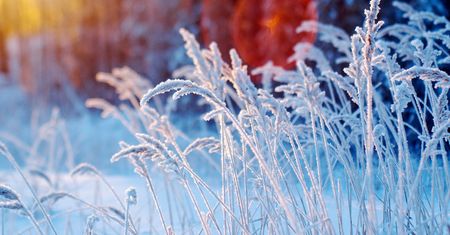 Padł rekord zimna w Polsce. Meteorolog: "Normalnie szok"
