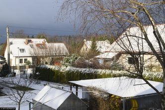 Susza w Polsce. Choć mamy zimę, już jest bardzo źle