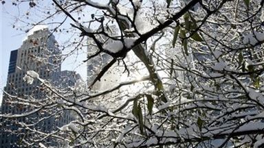 Zimowy obrazek z Nowego Jorku