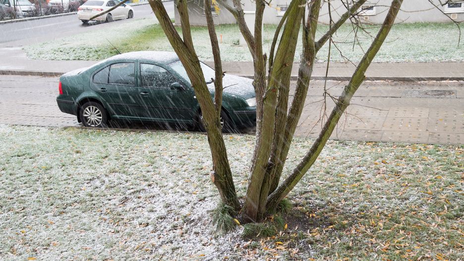 Pierwszy śnieg spadł już m.in. w Gdańsku