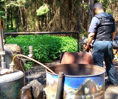 50-procentowy alkohol z lasu na Podlasiu. Akcja służb