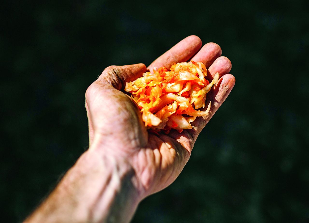 Kimchi z kapusty pekińskiej