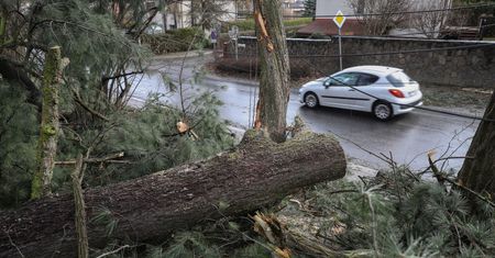Wiatr w Polsce zrywał dachy, łamał drzewa oraz gałęzie. Minionej nocy strażacy interweniowali ponad tysiąc razy
